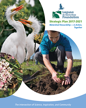 Laguna Foundation Strategic Plan cover